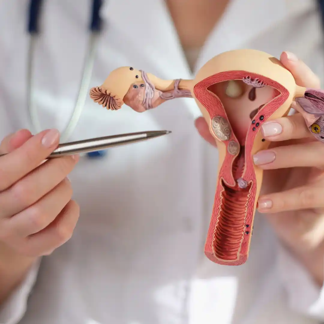 Ginecologia regenerativa: o que é e por que importa