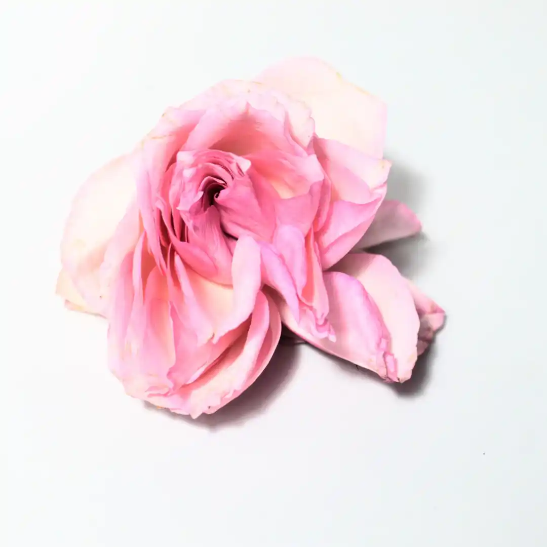 Ressecamento Vaginal: não normalize o desconforto